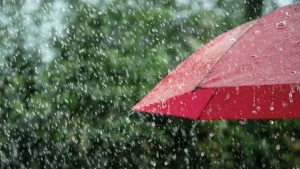 Condiciones climáticas obligan a precaución en costas y provincias