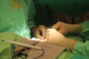 Hospitales de la capital integran tecnología de impresión 3D orgánica para salvar vidas.