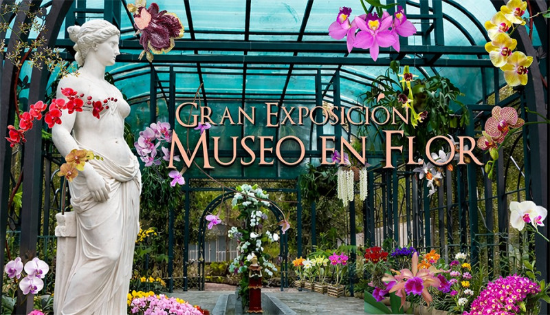 Evento convierte el parque en una galería natural con exhibiciones, educación ambiental y participación comunitaria.